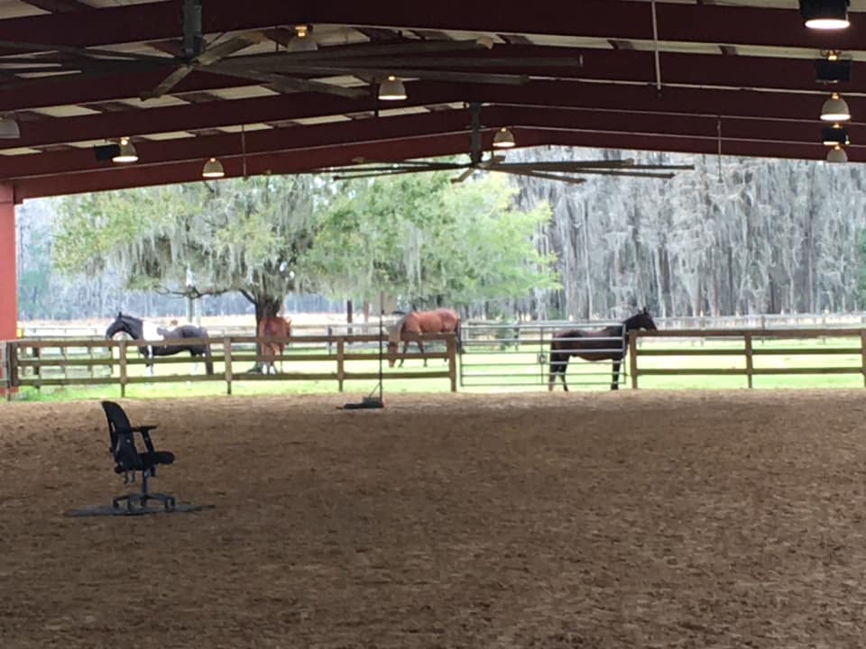 Hippotherapy Training in Florida Serenity Therapeutics LLC