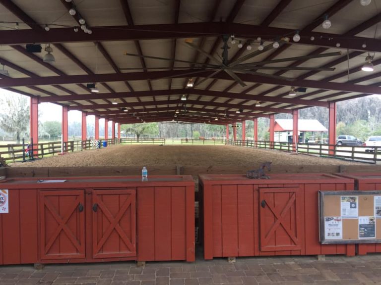 Hippotherapy Training in Florida Serenity Therapeutics LLC